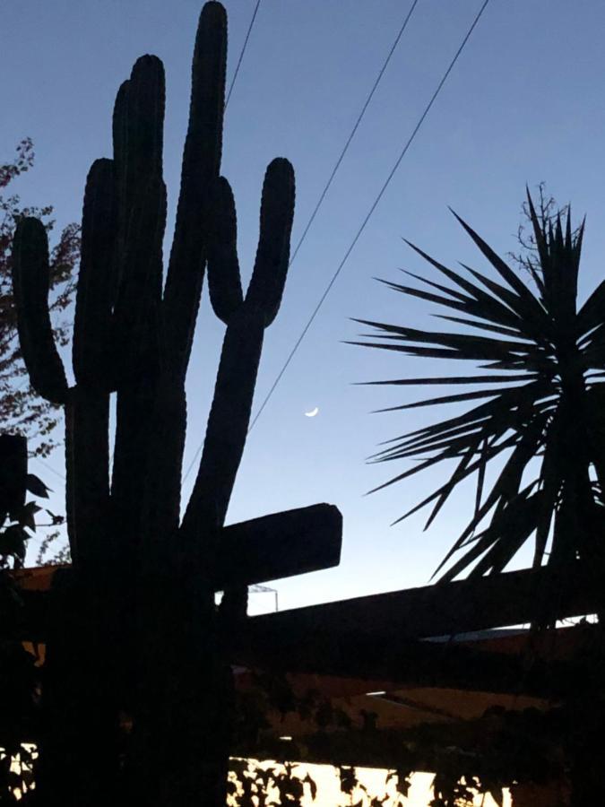 La Casita Del Cactus - Casa De Campo Con Piscina Alcalá de Guadaira Eksteriør bilde
