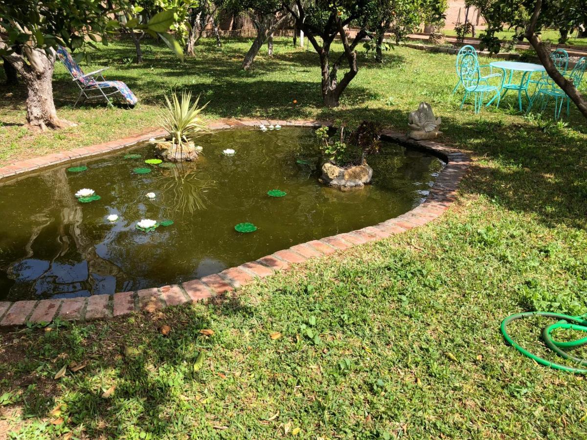 La Casita Del Cactus - Casa De Campo Con Piscina Alcalá de Guadaira Eksteriør bilde