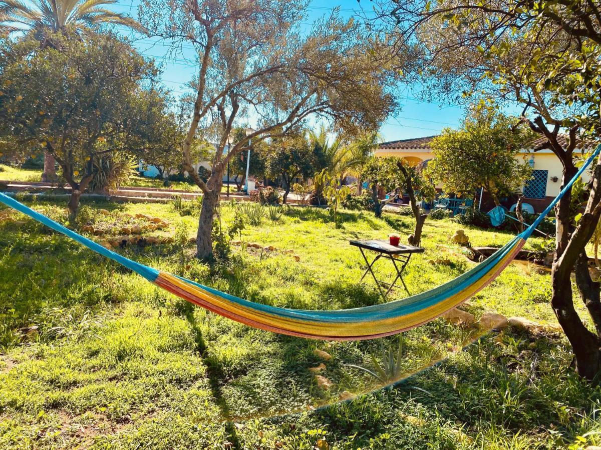 La Casita Del Cactus - Casa De Campo Con Piscina Alcalá de Guadaira Eksteriør bilde