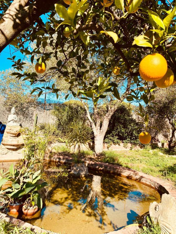 La Casita Del Cactus - Casa De Campo Con Piscina Alcalá de Guadaira Eksteriør bilde